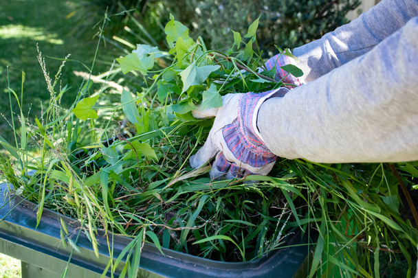 Contenedor de basura verde lleno de residuos de jardín. Las manos con guantes de jardinería haciendo limpieza de primavera en el jardín. Reciclar basura para un mejor medio ambiente
. - Foto, Imagen