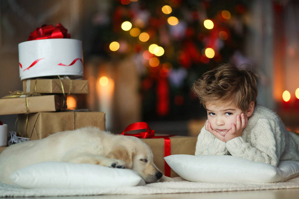 Cute baby with a white golden labrador on the background of Christmas decorations - Foto, Bild