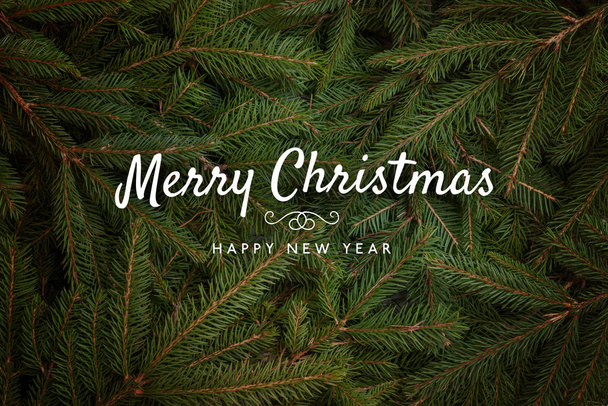 Merry Christmas and Happy New Year greeting text with Christmas tree fir branches in background. - 写真・画像