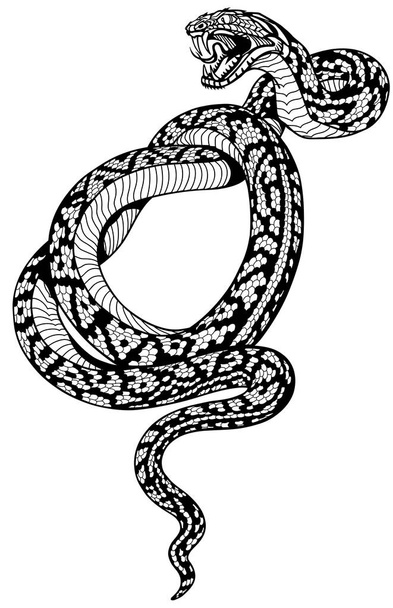 coiled snake tattoo black and white - Vector, Image
