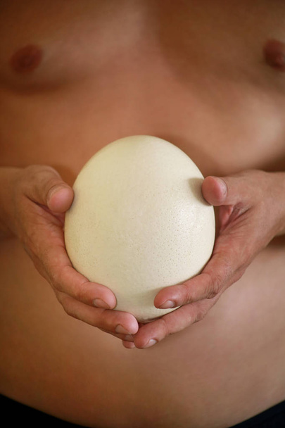 Férfi kezek kezében nagy strucc tojás fehér háttér, méret összehasonlítás, közelről. Organikus friss tojás. Egészséges étel. A strucctojás a születés szimbóluma. Óriási fehér tojáshéj afrikai strucc. - Fotó, kép