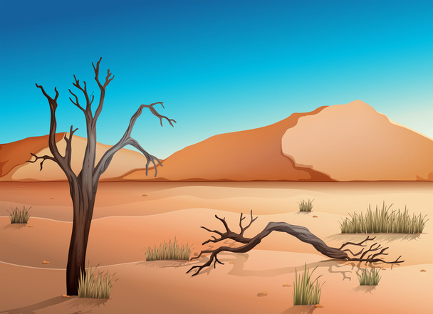 ekosystem pustyni - Wektor, obraz