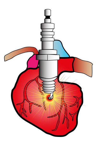 Herzsystem - Vektor, Bild