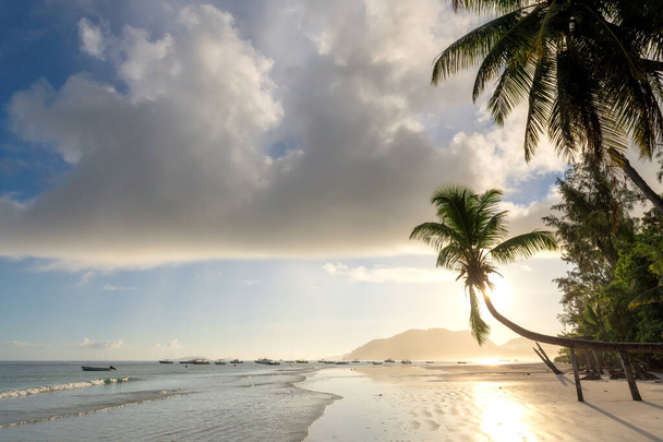 Тропический пляж восход солнца, Праслийн, Сейшелы. Летние каникулы и тропический пляж
. - Фото, изображение