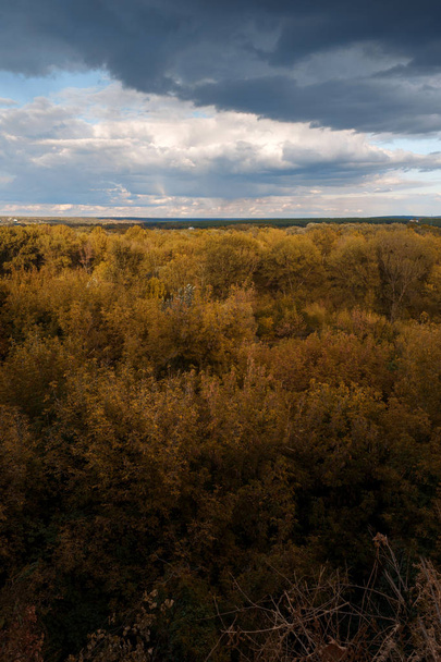 Φθινοπωρινό τοπίο Θέα σε ένα ξύλο. Χρώμα φθινοπώρου.  - Φωτογραφία, εικόνα