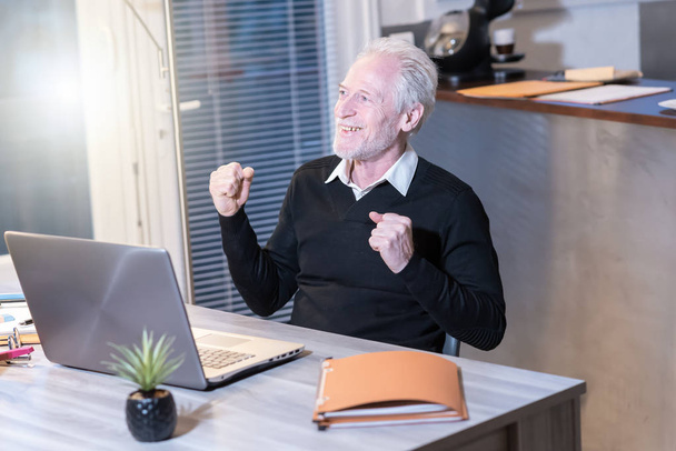 Sonriente hombre de negocios senior mostrando gesto de éxito
 - Foto, Imagen