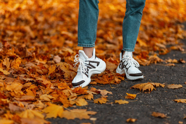 Detailní záběr ženských nohou v modrých módních džínách ve stylových bílých teniskách stojících na asfaltu mezi oranžově suchým listím. Boty módních žen. Nová sbírka. - Fotografie, Obrázek