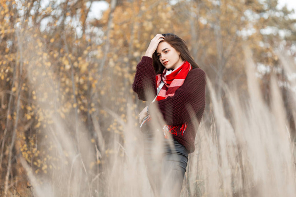 European young woman in a fashionable knitted burgundy sweater in a stylish plaid scarf posing among dry tall grass in a field. Beautiful girl fashion model is resting outdoors in the countryside. - Photo, Image