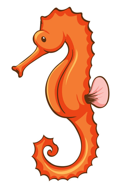 Orange seahorse on white background - Vector, Image
