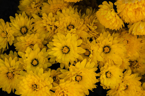 ein Strauß schöner Chrysanthemenblüten im Freien. Chrysanth - Foto, Bild