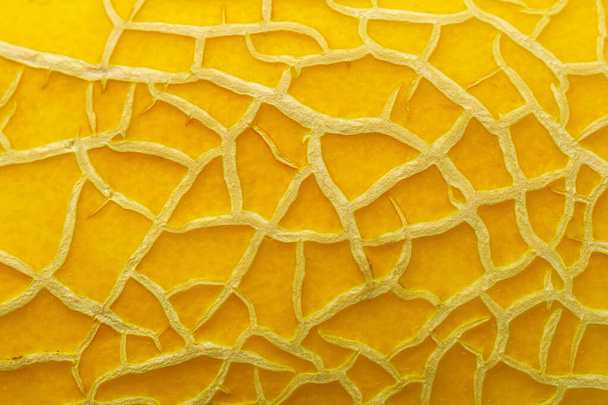 melón textura fondo primer plano macro
 - Foto, Imagen