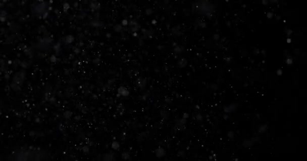 natürlicher weißer Winterschnee auf schwarzem Hintergrund - Filmmaterial, Video