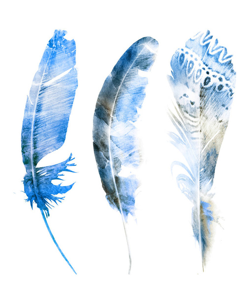 Watercolor feathers , isolated on white background - Фото, изображение