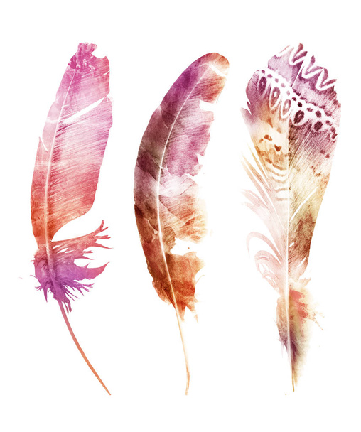 Watercolor feathers , isolated on white background - Zdjęcie, obraz