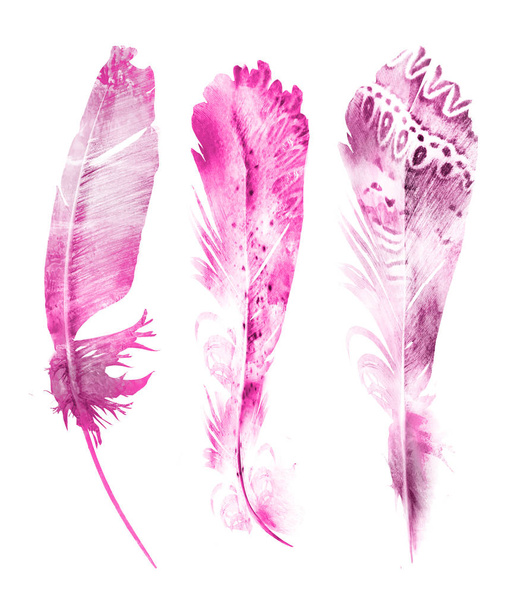 Watercolor feathers , isolated on white background - Fotografie, Obrázek