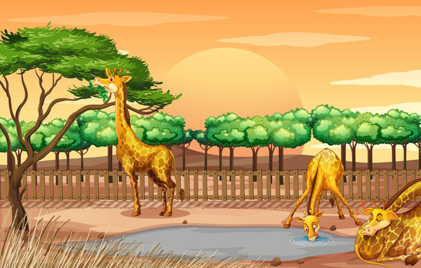 Scena con tre giraffe allo zoo
 - Vettoriali, immagini