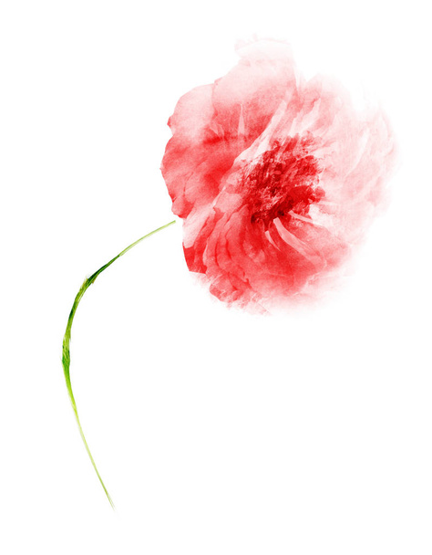 Watercolor flower , isolated on white background - Foto, Imagem