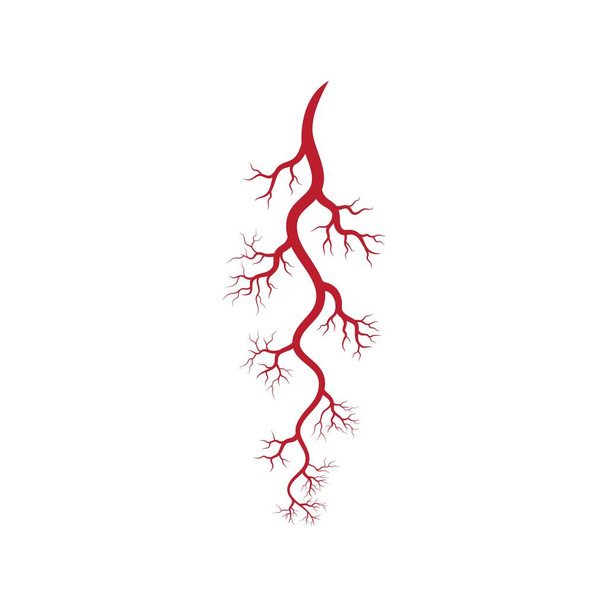 Ilustração das veias e artérias humanas
 - Vetor, Imagem