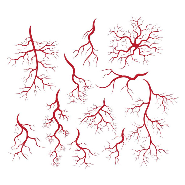 İnsan damarları ve arterler örnekleme - Vektör, Görsel