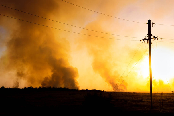 verbranntes Feld und Rauch im Wald nach Waldbrand. Umwelt Rauch des brennenden Dorfes ein Feuerfeld - Foto, Bild
