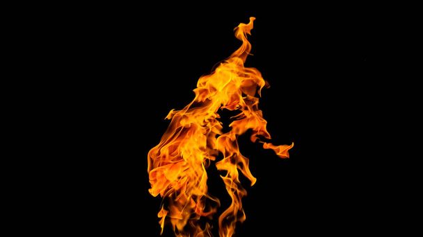 Пламя огня на черном фоне. пожар на черном фоне
 - Фото, изображение