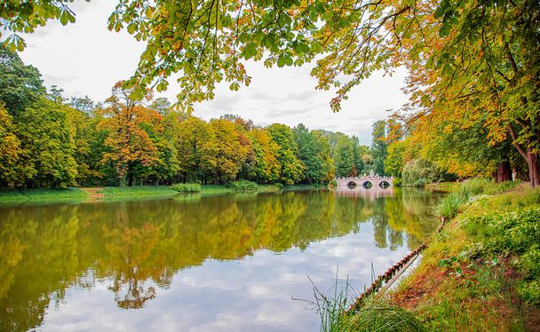 Bridge in the park on the lake. Royal Palace on the Water in Lazienki Park, Warsaw. Lake view in autumn - 写真・画像