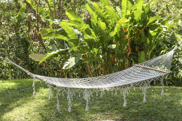 gemütliche hängematte zwischen palmen in einem schönen tropischen garten in bali insel, indonesien, horizontale ausrichtung - Foto, Bild