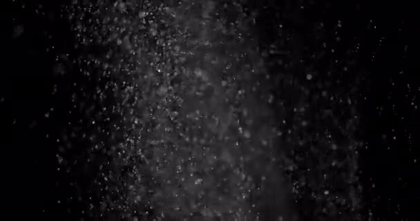 Σωματίδια χιονιού. Σκόνη σε μαύρο φόντο. Επικάλυψη - Πλάνα, βίντεο