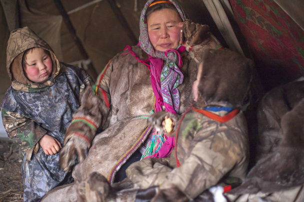 L'extrême nord, Yamal, le passé des Nenets, la demeure
 - Photo, image