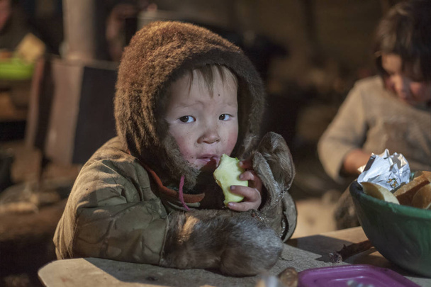 El extremo norte, Yamal, el pasto de la gente Nenets, los niños
 - Foto, Imagen