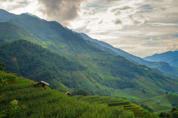 Gyönyörű teraszos rizs rizsföld és hegyvidéki táj Mu - Fotó, kép