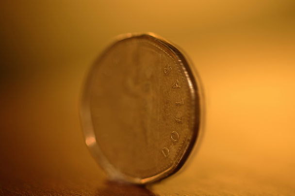 Coin close-up - One Dollar - Φωτογραφία, εικόνα