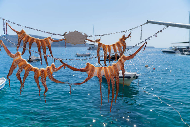 Čtyři chobotnice visící sušení na slunci typický středomořský styl. - Fotografie, Obrázek