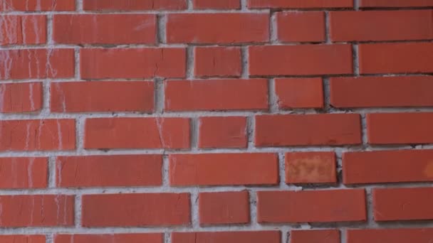 Oude oranje stenen muur. bakstenen muur, metselwerk textuur, baksteen patroon achtergrond - Video