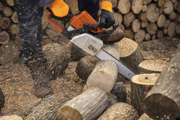 Chainsaw in action cutting wood. Man cutting wood with saw, dust - Photo, Image