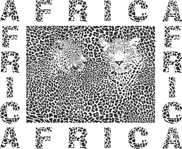 bianco e nero illustrazione modello sfondo leopardo pelli, teste e testo Africa
 - Vettoriali, immagini