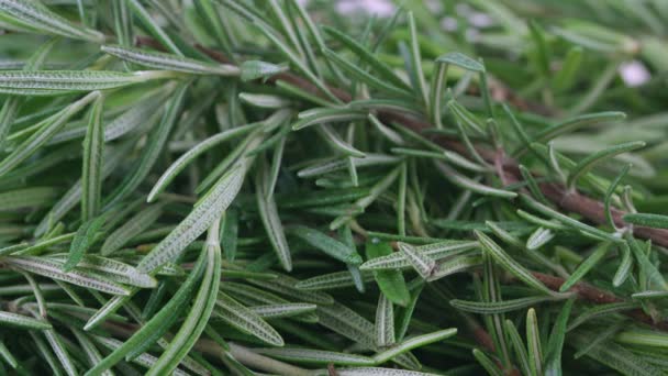 Съемки крупным планом тележки, свежесобранные травы Розмари из сада. органические для приготовления пищи
 - Кадры, видео