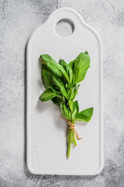 A sprig of Basil on a white background. Space for text. Seasoning for vegetables - Photo, Image