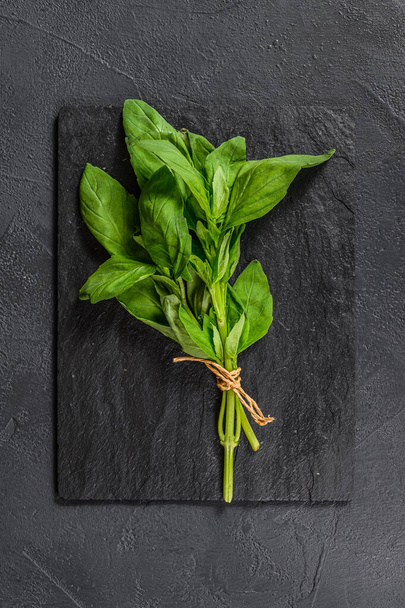A sprig of Basil on a black background. Space for text. Seasoning for vegetables. - Photo, Image