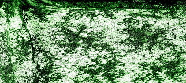 Texture, pattern, lace fabric in green on a white background. Th - Photo, Image