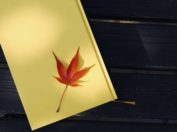 Yellow book and autumn maple leaves - Fotografie, Obrázek