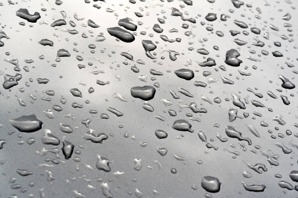 letní déšť, kapky vody na laku. malý kulatý nebo p - Fotografie, Obrázek