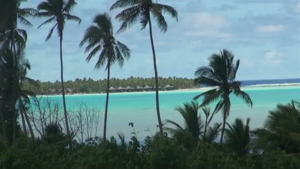 Strandhütten-Bungalows in blauer Lagune. Strandresort auf Kochinseln & Palmen - Filmmaterial, Video