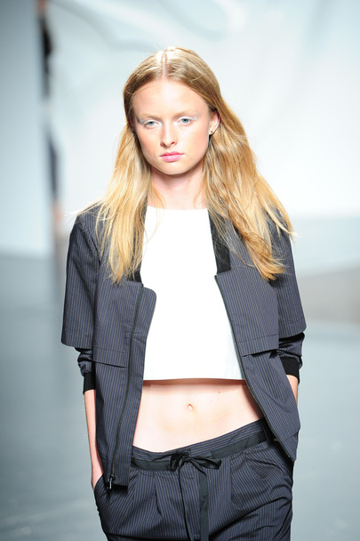 Model at the Tibi Spring show - Foto, afbeelding