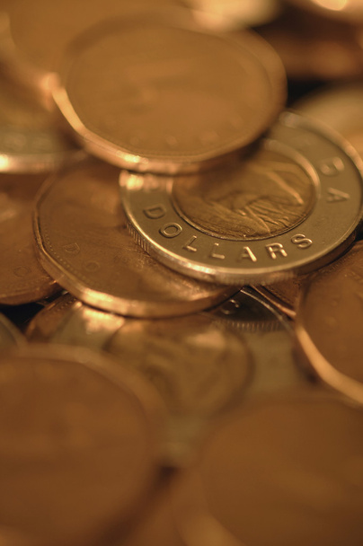 Close-up of gold coins - Fotó, kép