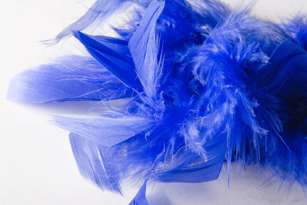Textura, fondo, dibujo. pájaro pluma pintado de azul. Una maravilla.
 - Foto, Imagen