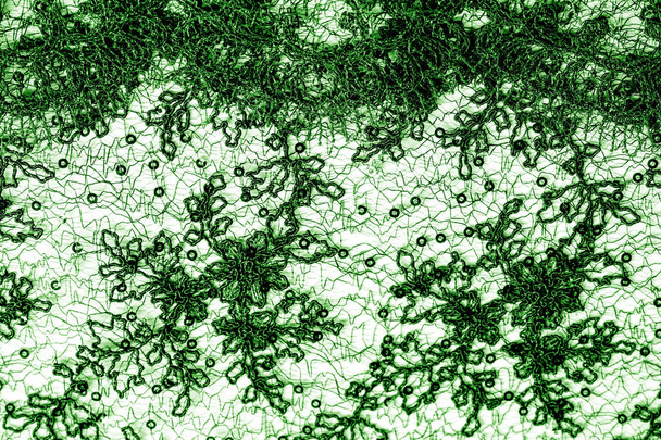Textura, vzorek, krajka v zelené na bílém podkladu. Th - Fotografie, Obrázek