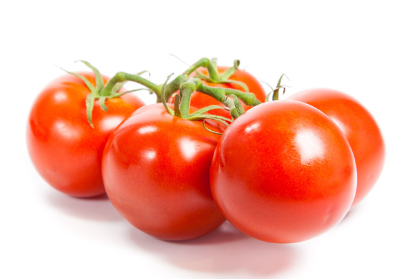 Closeup of tomatoes on the vine isolated on white. Tomato branch - 写真・画像