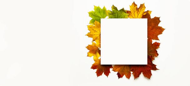 Herbstkomposition. mehrfarbige grün-gelb-rote Ahornblätter und leeres weißes Blatt Papier auf weißem Hintergrund. flache Lagekopierfläche von oben. Herbstkonzept. Herbsthintergrund. Kreative Saisongestaltung - Foto, Bild