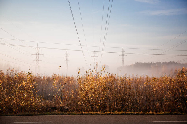 秋の朝電界による送電線 - 写真・画像